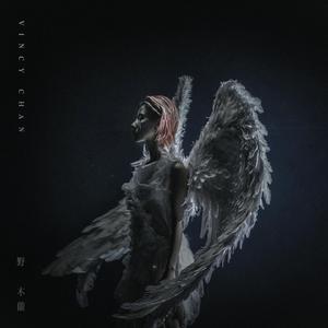 杨晨晨的土豪定制视频内容
